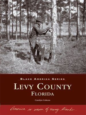 cover image of Levy County, Florida